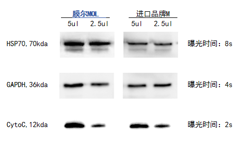 ga黄金甲娱乐平台网站产品推荐：膜尔新材0.45μmPVDF膜—实验数据