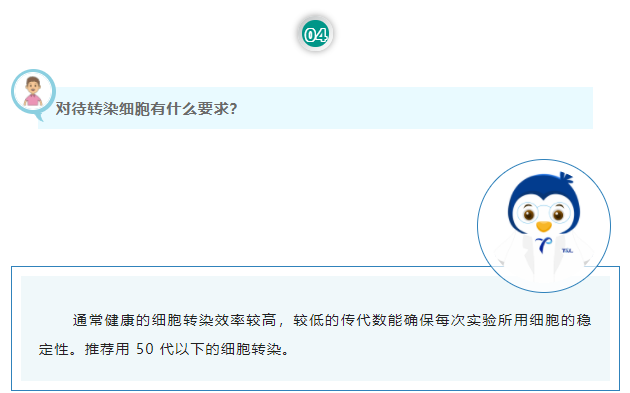 对待转染细胞有什么要求？通常健康的细胞转染效率较高，较低的传代数能确保每次实验所用细胞的稳定性。推荐用 50 代以下的细胞转染。