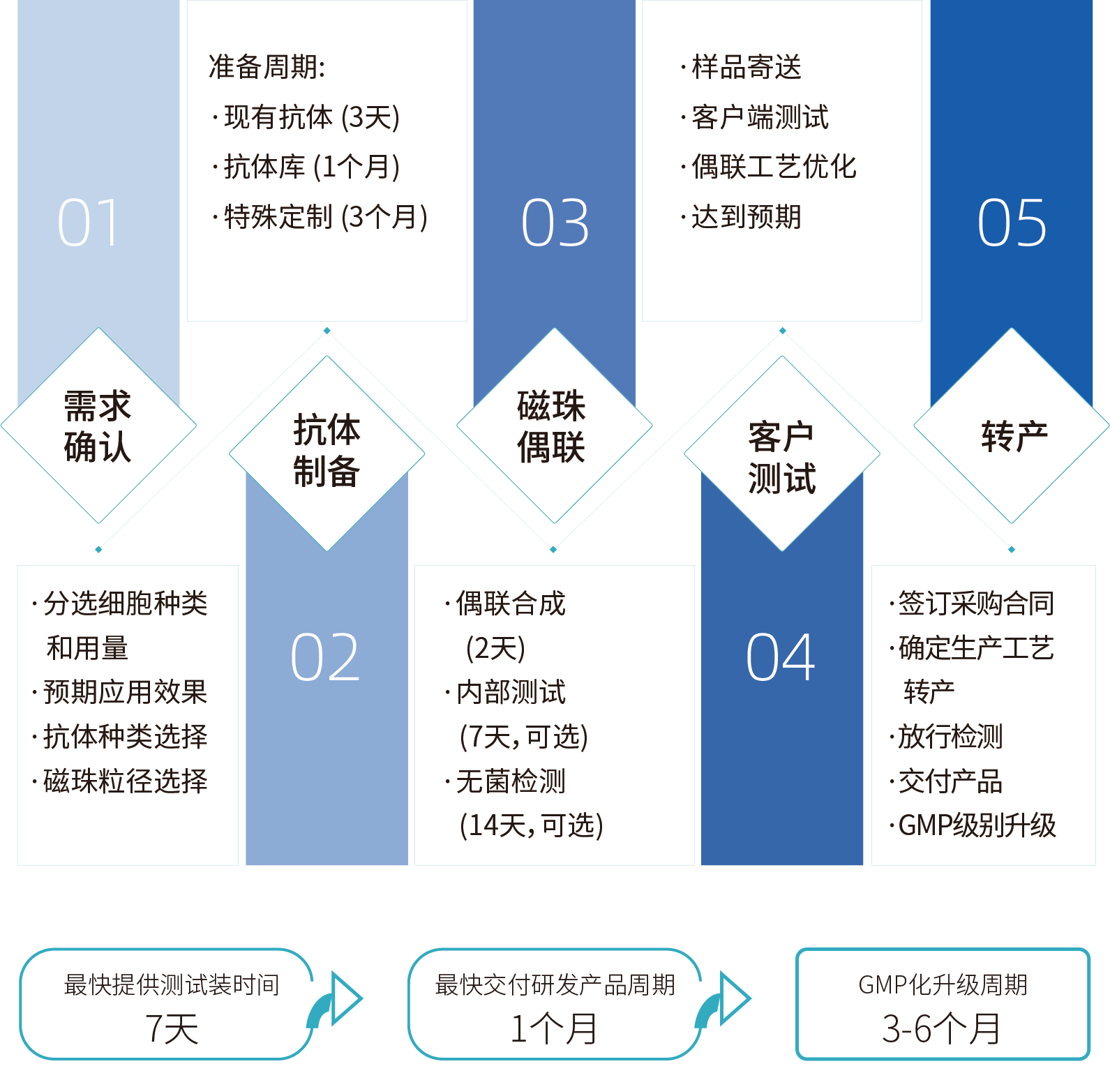 ga黄金甲娱乐平台网站细胞分选激活磁珠/分选磁珠定制，定制流程
