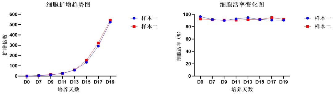 ga黄金甲娱乐平台网站,NK试剂盒套装3.0,脐血NK细胞培养,NK细胞培养