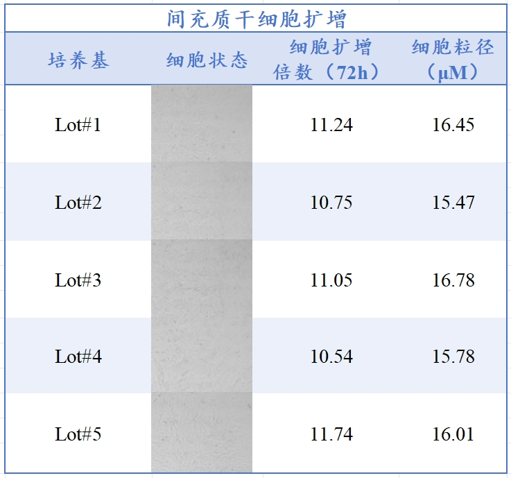 ga黄金甲娱乐平台网站生物MSC无血清培养工艺定制化服务
