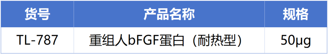 ga黄金甲娱乐平台网站新一代耐热型重组人bFGF蛋白正式发布！高温环境下的修复王者! 